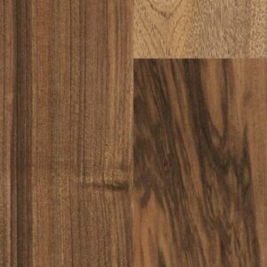 australian-walnut-TS4PS7-7503